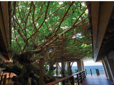 事業展開イメージ